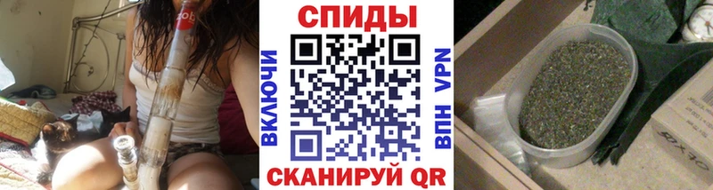 БУТИРАТ BDO 33% Купить где Курлово