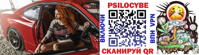 Псилоцибиновые грибы мухоморы  Купить закладки  Курлово 
